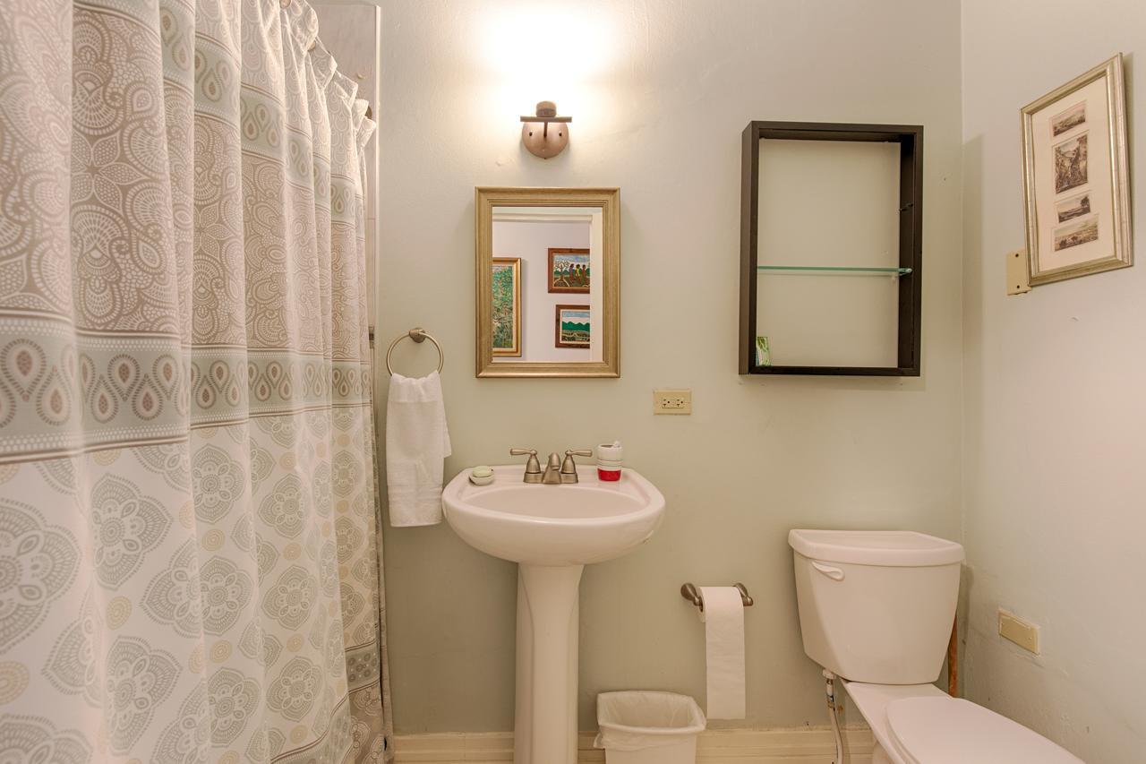 Chester Avenue Guest House คิงส์ตัน ภายนอก รูปภาพ