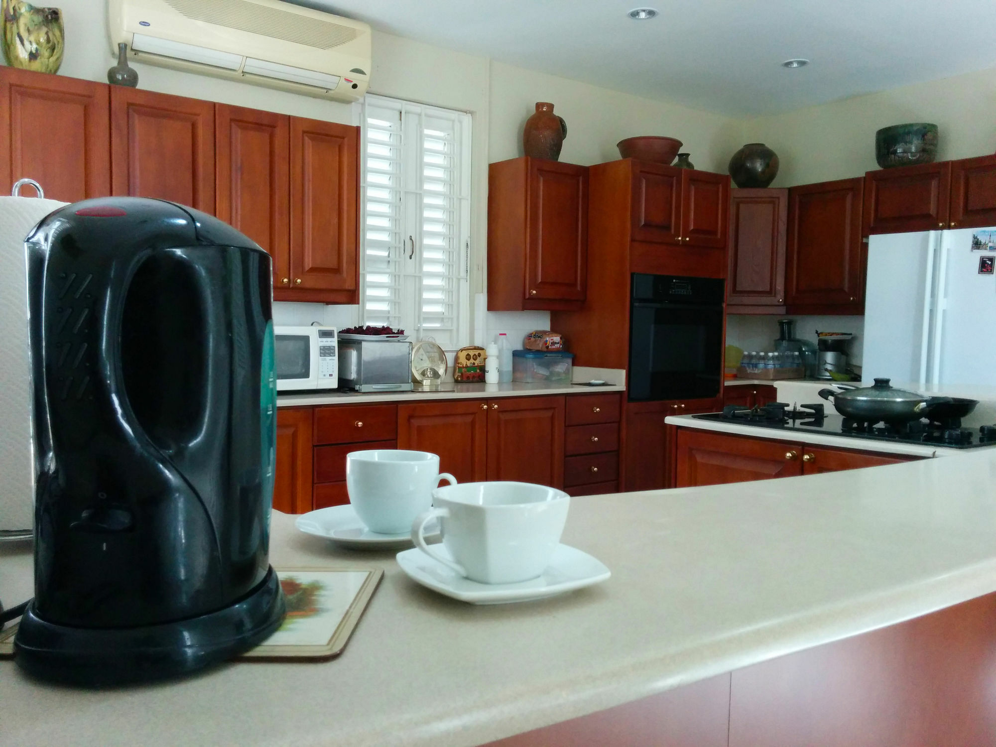 Chester Avenue Guest House คิงส์ตัน ภายนอก รูปภาพ