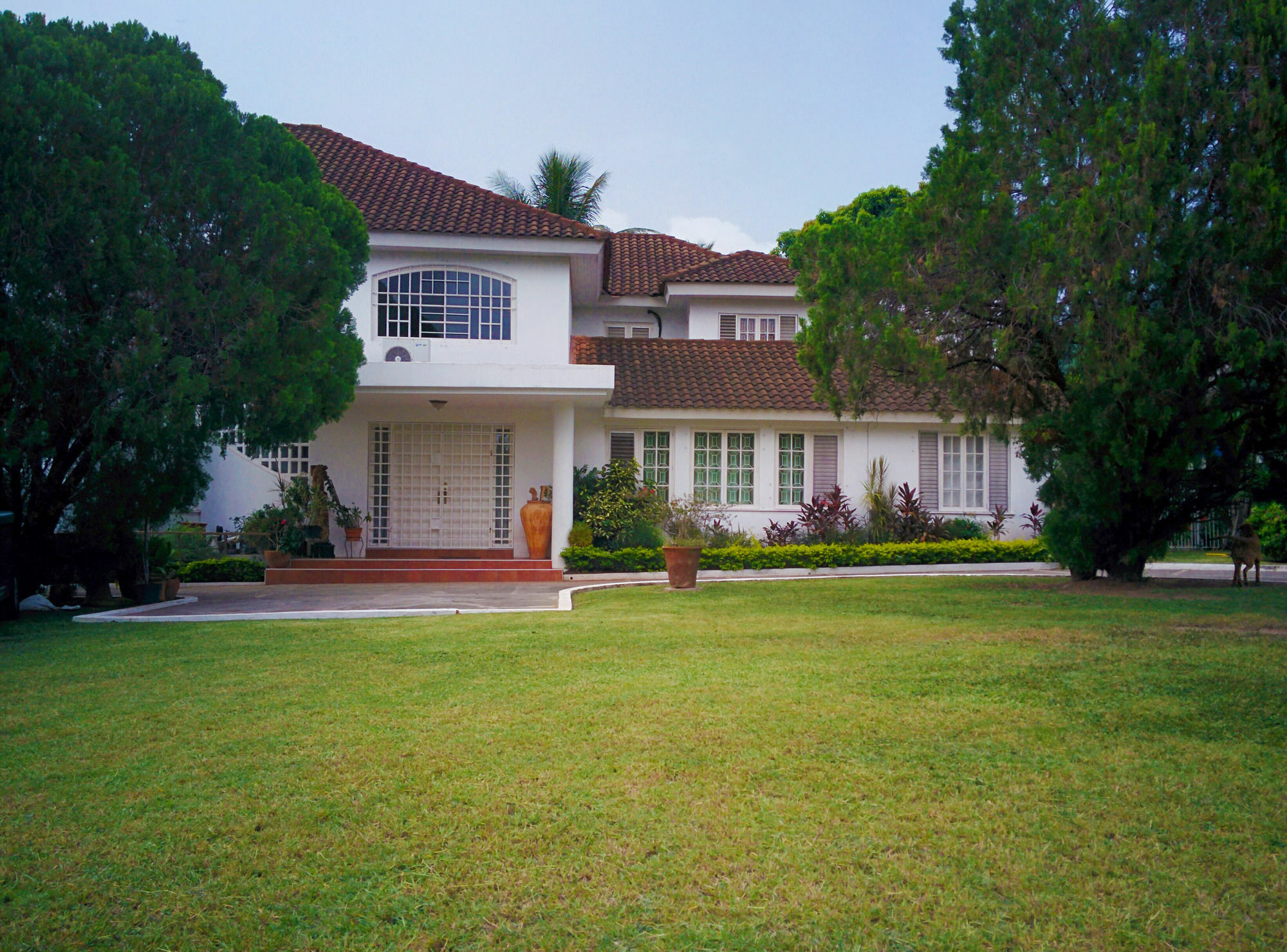 Chester Avenue Guest House คิงส์ตัน ภายนอก รูปภาพ