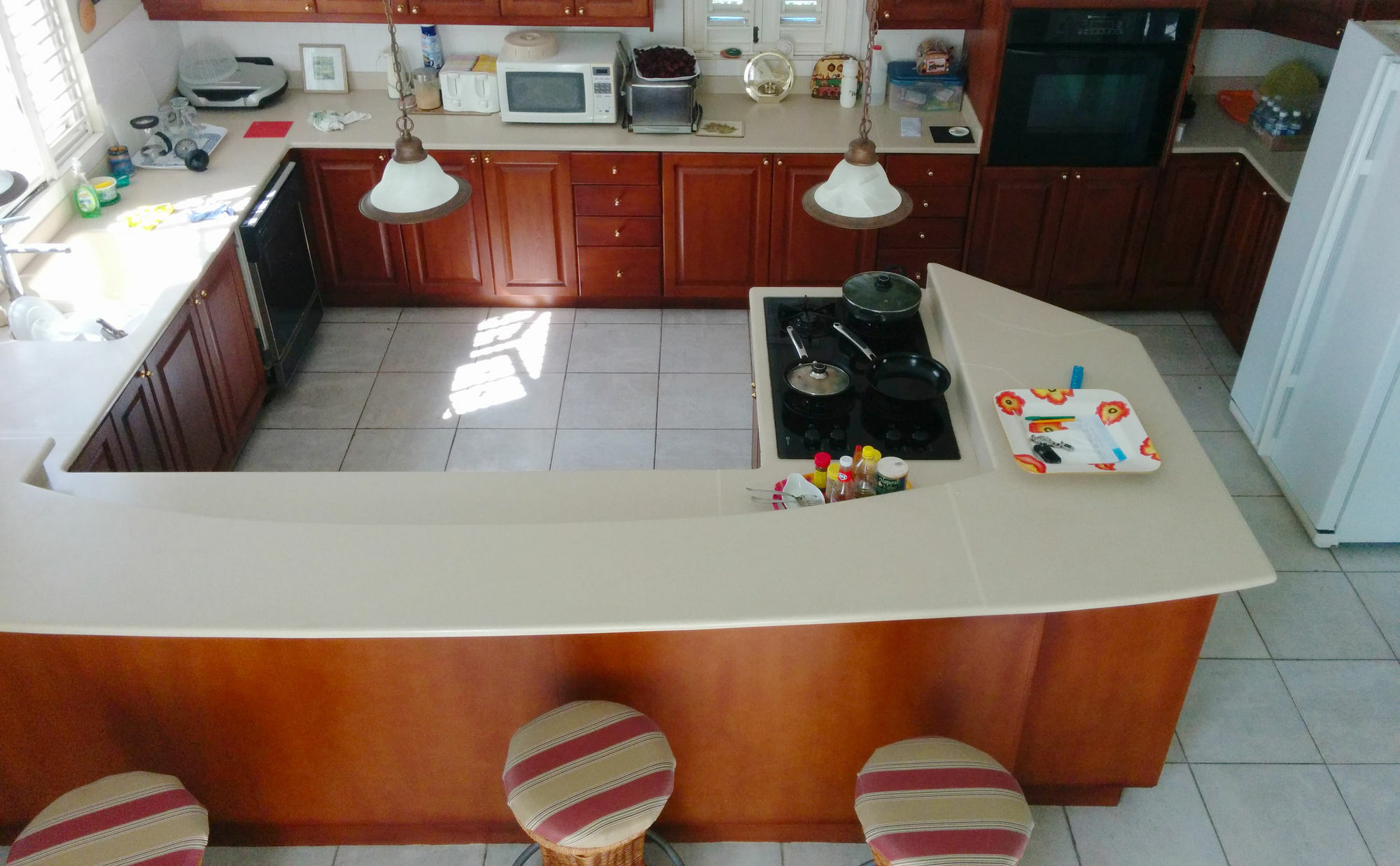 Chester Avenue Guest House คิงส์ตัน ภายนอก รูปภาพ
