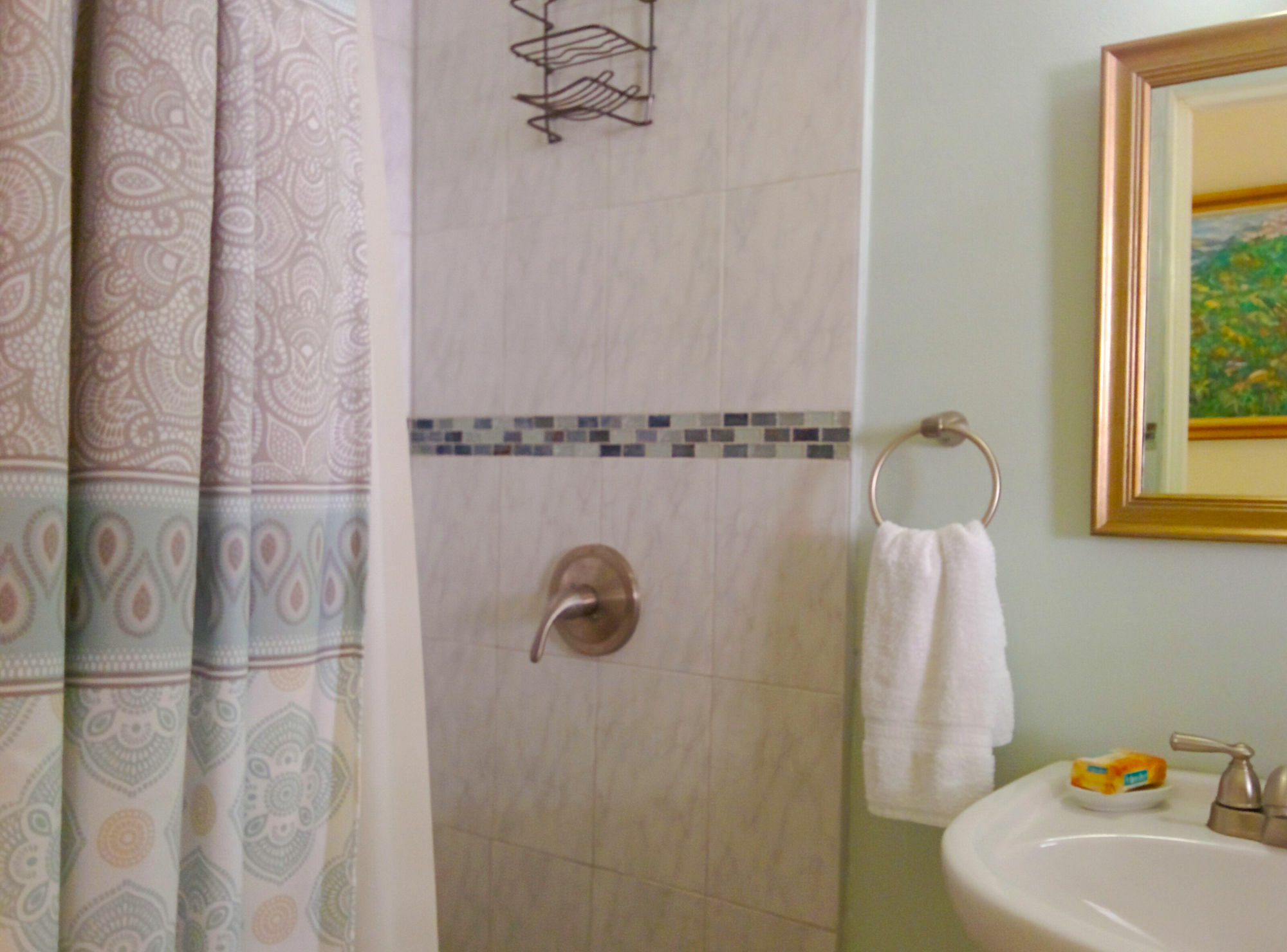 Chester Avenue Guest House คิงส์ตัน ภายนอก รูปภาพ