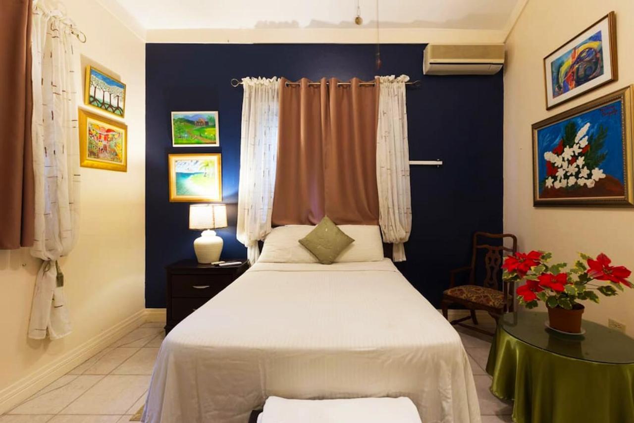 Chester Avenue Guest House คิงส์ตัน ภายนอก รูปภาพ