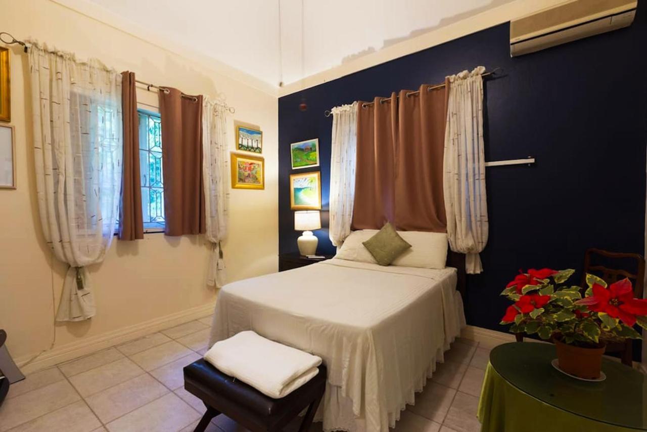 Chester Avenue Guest House คิงส์ตัน ภายนอก รูปภาพ